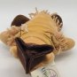 NWT Lewis & Clark USPS Stamp 10" Bear Plush TOY 2004 Timeless Toys