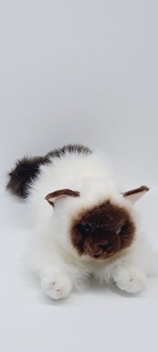 NWT Aurora Cat Plush Stuffed Kitty Kitten Birman Siamese Blue Eyes Toy 2018