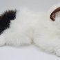 NWT Aurora Cat Plush Stuffed Kitty Kitten Birman Siamese Blue Eyes Toy 2018