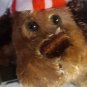 Dan Dee 9" Dog  w/ Recordable Picture Frame *RARE*