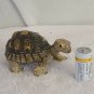 Tortoise Incredible Creatures Figure Safari Ltd NEW Toys Educational Kids Animal
