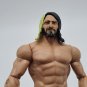 Jakks Mattel WWE WWF Action Figure Seth Rollins 2012