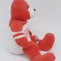 VTG 2000 NHL Detroit Red Wings Bear Ice Bears  8&acirc;�� w/Tag