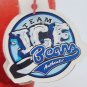 VTG 2000 NHL Detroit Red Wings Bear Ice Bears  8&acirc;�� w/Tag