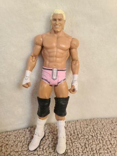 Dolph Ziggler WWE Wrestling Action Figure Mattel 2011 *PINK SHORTS*