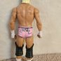 Dolph Ziggler WWE Wrestling Action Figure Mattel 2011 *PINK SHORTS*