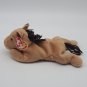 TY Beanie Baby - CANYON the Cougar (8.5 inch) - MWMT's Stuffed Animal Toy