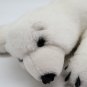 SeaWorld Soft White Laying Polar Bear Plush 13" Stuffed Animal Toy