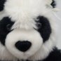 Build A Bear Workshop St. Louis Zoo Panda Zoorrific Retired 2010 BAB Panda Plush