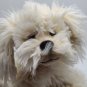 Gund &acirc;��Dreyfus&acirc;�� the Shaggy Puppy Dog Plush Toy CLEAN