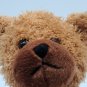 *RARE* Peaches And Pumpkins Plush Bear 11&acirc;��