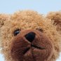 *RARE* Peaches And Pumpkins Plush Bear 11&acirc;��