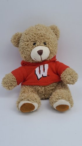 Wisconsin Badgers NCAA Teddy Bear in Team Logo Shirt NCAA FOCO Plush 10"