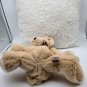 Beige 13" Plush Bear Gund by Mica Augie