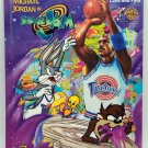 Space Jam Look and Find (Hardcover)
