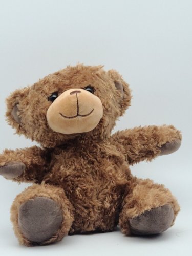 Foco 7" Teddy Bear *CLEAN*