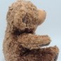 Foco 7" Teddy Bear *CLEAN*