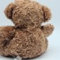 Foco 7" Teddy Bear *CLEAN*