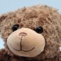 Foco 7" Teddy Bear *CLEAN*