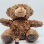 Foco 7" Teddy Bear *CLEAN*