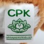 Cabbage Patch Kids 8" Adoptimals Kitty Cat Purring Meowing 2017 Plush CLEAN