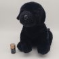 Douglas Cuddle Toys Chester the Black Lab Dog Plush Stuffed Animal CLEAN