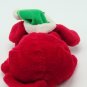 CLIFFORD THE BIG RED DOG Scholastic PLUSH Beanie CHRISTMAS SANTA HAT Star 6&acirc;��