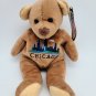 Mary Meyer Chicago Teddy Bear Beanbag Plush Stuffed Travel Souvenir CLEAN