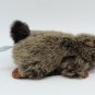 VINTAGE SMITHSONIAN BACKYARD WOODCHUCK PLUSH 6" STUFFED ANIMAL FURRY BROWN 1995