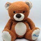 Cloud Pets Plush Bear 12" by Jay Play Plays & Sends Messages Bluetooth CLEAN