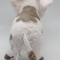 Authentic Disney Store Moana's Pet Pua Large 17" Plush Pig Genuine Original