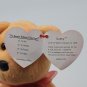 Ty Beanie Baby/Babies Sunny Bear Internet Exclusive 2000 - NEW - MWMT