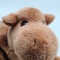 TY Beanie Buddy Humphrey the Camel Retired Plush Stuffed Animal CLEAN