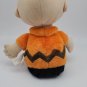 Peanuts Charlie Brown Kohls Cares 12'' Plush Doll Stuffed Animal Toy Orange
