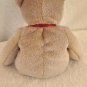 1999 Ty Original Beanie Babies Brown 1999 SIGNATURE BEAR