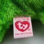 Vintage Ty Beanie Buddies Speedy the Turtle 12" Plush Stuffed Animal 1999
