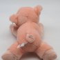 NWT Aurora World Plush - Flopsie - PICKLES the Piglet 12" Plush Stuffed Animal
