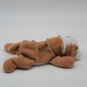 TY Beanie Baby - WRINKLES the Bull Dog (8 inch) Style 4103 P.V.C. Pellets