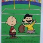 You're In The Super Bowl Charlie Brown Peanuts VHS Video Tape Movie NFL Vintage