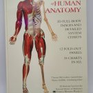 WALL CHART OF HUMAN ANATOMY By Thomas Mccracken - Hardcover VGC