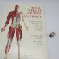 WALL CHART OF HUMAN ANATOMY By Thomas Mccracken - Hardcover VGC