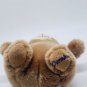BUILD-A-BEAR Charmin Teddy Bear Plush - Toilet Paper Mascot - Stuffed Animal
