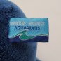 RARE Small Blue Baby Penguin Plush Adventure-Newport  *CLEAN*
