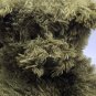 RARE Extra Large Teddy Bear- Olive Green Plush/Body Pillow PIER 1 Imports CLEAN