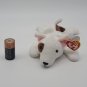 TY Beanie Babies: Butch; 2 Rarest Errors!!! October 02, 1998 ( Retired)