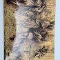 Postcard Packet Italy Battistero di Firenze La Porta del Paradiso Door Art