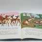 Big Golden Bks.: Rudolph the Red-Nosed Reindeer by Barbara Shook Hazen (1996)