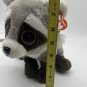 TY Beanie Baby Bandit The Raccoon 8&acirc;�� Plush New With Tags Stuffed Animal Toy