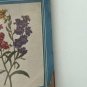 Woman's Day Magazine September 1954 Four Rare Old Flower Print in Color No Label