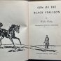THE SON OF THE BLACK STALLION by WALTER FARLEY copyright 1947 Collectible
